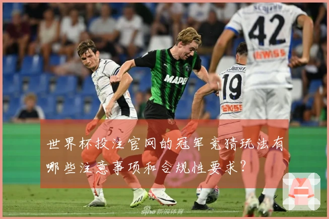 世界杯投注官网的冠军竞猜玩法有哪些注意事项和合规性要求？