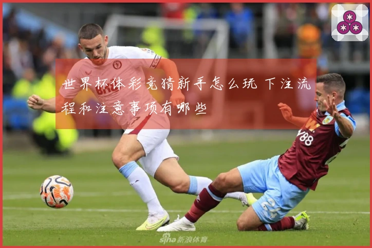 世界杯体彩竞猜新手怎么玩 下注流程和注意事项有哪些