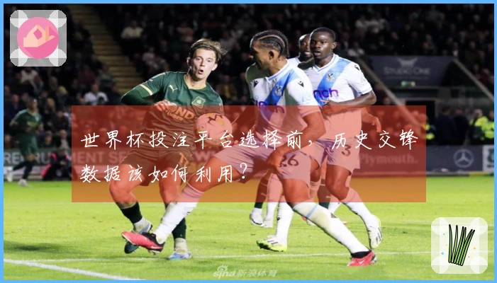 世界杯投注平台选择前，历史交锋数据该如何利用？