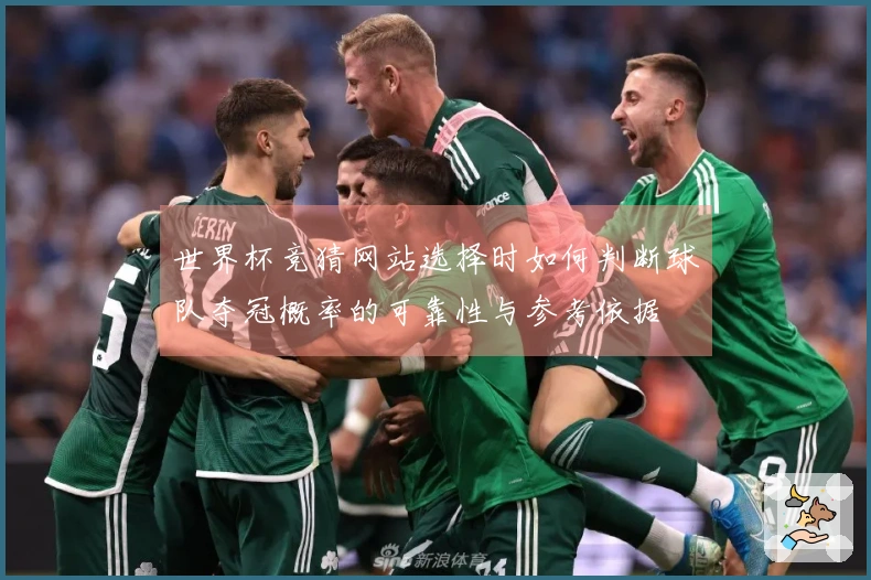 世界杯竞猜网站选择时如何判断球队夺冠概率的可靠性与参考依据