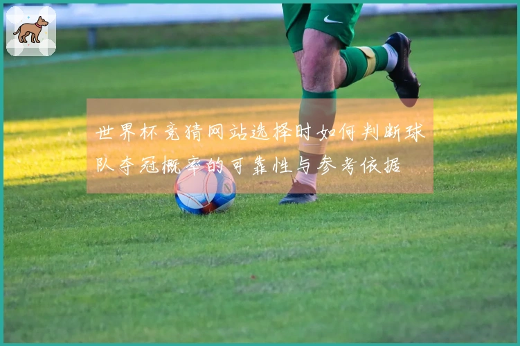 世界杯竞猜网站选择时如何判断球队夺冠概率的可靠性与参考依据