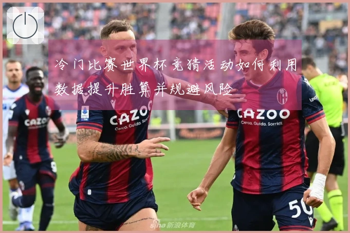 冷门比赛世界杯竞猜活动如何利用数据提升胜算并规避风险