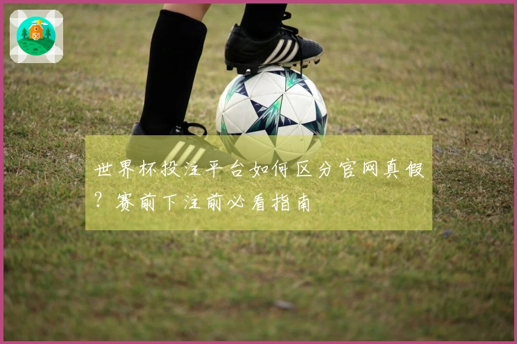 世界杯投注平台如何区分官网真假？赛前下注前必看指南