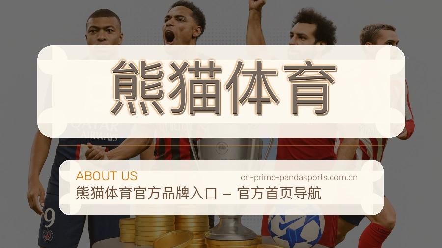 熊猫体育平台服务概况